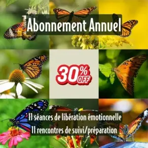 Abonnement annuel - Séances de libération émotionnelle (11 séances et 11 suivis)