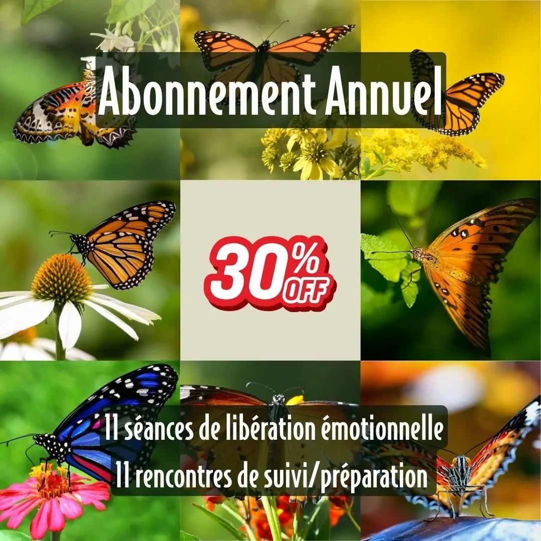Abonnement annuel - Séances de libération émotionnelle (11 séances et 11 suivis)
