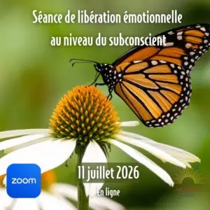 Séance (11 juil 26) + rencontre de suivi