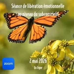 Séance (2 mai 26) + rencontre de suivi