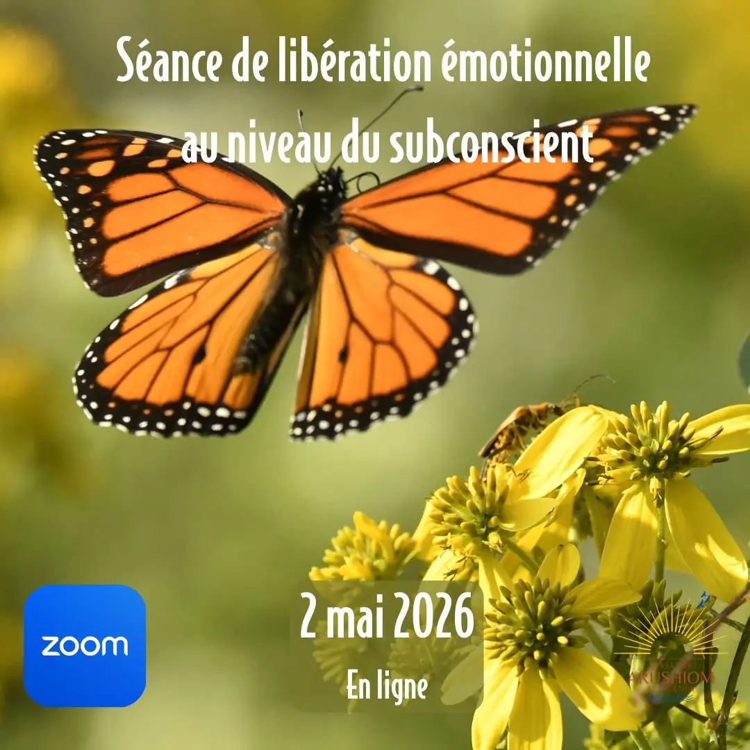 Séance (2 mai 26) + rencontre de suivi