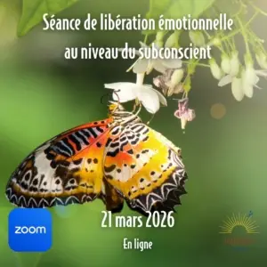Séance (21 mars 26) + rencontre de suivi